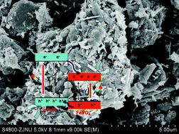 Graphical abstract: Fabrication, characterization and photocatalytic activity of g-C3N4 coupled with FeVO4 nanorods