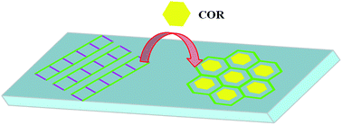 Graphical abstract: Site-selection and adaptive reconstruction in a two-dimensional nanoporous network in response to guest inclusion