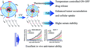 Graphical abstract: Targeted and controlled drug delivery using a temperature and ultra-violet responsive liposome with excellent breast cancer suppressing ability