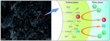 Graphical abstract: Enhanced removal of fluoride by tea waste supported hydrous aluminium oxide nanoparticles: anionic polyacrylamide mediated aluminium assembly and adsorption mechanism