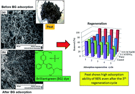 Graphical abstract: Effective adsorption of toxic brilliant green from aqueous solution using peat of Brunei Darussalam: isotherms, thermodynamics, kinetics and regeneration studies