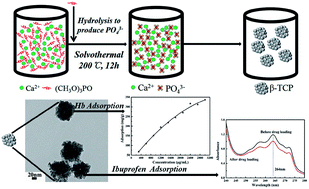 Graphical abstract: Solvothermal synthesis of β-tricalcium phosphate porous nanospheres by using organic phosphorus source and their biomedical potentials
