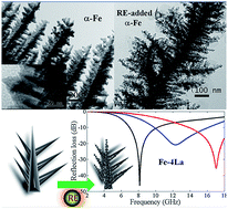 Graphical abstract: Polarization enhanced multi-grain-boundary dendritic micro–nano structure α-Fe for electromagnetic absorption applications: synthesis and characterization