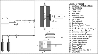 Graphical abstract: Conversion of canola oil and canola oil methyl ester (CME) to green aromatics over a HZSM-5 catalyst: a comparative study