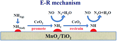 Graphical abstract: Promotion mechanism of CeO2 addition on the low temperature SCR reaction over MnOx/TiO2: a new insight from the kinetic study