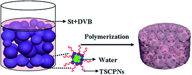 Graphical abstract: Macrocellular polymer foams from water in oil high internal phase emulsion stabilized solely by polymer Janus nanoparticles: preparation and their application as support for Pd catalyst