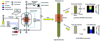 Graphical abstract: Dynamic stability characteristics of fluid flow in CO2 miscible displacements in porous media