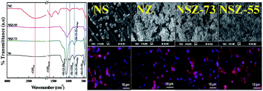 Graphical abstract: Surface characteristics, corrosion resistance and MG63 osteoblast-like cells attachment behaviour of nano SiO2–ZrO2 coated 316L stainless steel