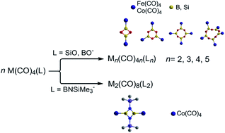 Graphical abstract: The siliconyl, boronyl, and iminoboryl ligands as analogues of the well-known carbonyl ligand: predicted reactivity towards dipolar cyclooligomerization in iron/cobalt carbonyl complexes
