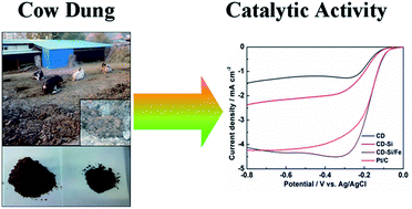 Graphical abstract: Cow dung-derived nitrogen-doped carbon as a cost effective, high activity, oxygen reduction electrocatalyst