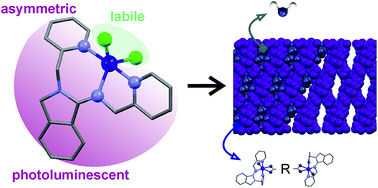 Graphical abstract: Cobalt(ii) and copper(ii) supramolecular networks with a 1-iminoisoindoline asymmetric pincer