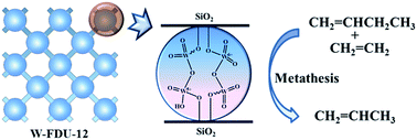 Graphical abstract: Tandem catalytic conversion of 1-butene and ethene to propene over combined mesoporous W-FDU-12 and MgO catalysts