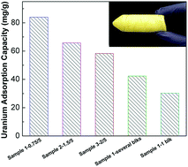 Graphical abstract: Macroporous monoliths for trace metal extraction from seawater