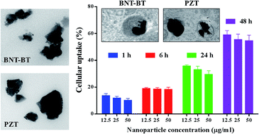 Graphical abstract: Bismuth-based nanoparticles as the environmentally friendly replacement for lead-based piezoelectrics