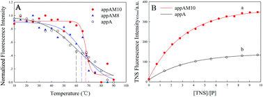 Graphical abstract: Enzymology and thermal stability of phytase appA mutants