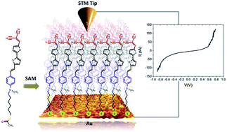 Graphical abstract: Synthesis, self-assembly and characterization of a novel push–pull thiophene-based chromophore on a gold surface