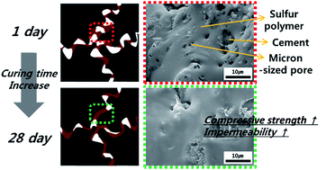 Graphical abstract: Preparation and characterization of a new cement-based composite with sulfur polymer