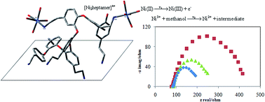 Graphical abstract: Physioelectrochemical and DFT investigation of metal oxide/p-type conductive polymer nanoparticles as an efficient catalyst for the electrocatalytic oxidation of methanol