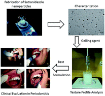 Graphical abstract: Mucoadhesive gel containing immunotherapeutic nanoparticulate satranidazole for treatment of periodontitis: development and its clinical implications