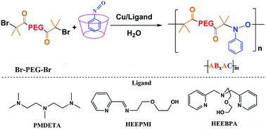 Graphical abstract: Aqueous radical addition-coupling polymerization using a nitroso benzene/cyclodextrin complex for the synthesis of a hydrophilic periodic polymer