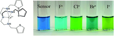 Graphical abstract: Colorimetric and optical discrimination of halides by a simple chemosensor
