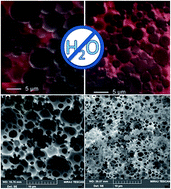 Graphical abstract: Porous monoliths synthesized via polymerization of styrene and divinyl benzene in nonaqueous deep-eutectic solvent-based HIPEs