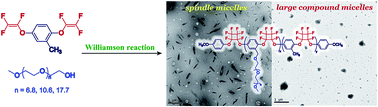 Graphical abstract: Construction of semi-fluorinated amphiphilic graft copolymer bearing a poly(2-methyl-1,4-bistrifluorovinyloxybenzene) backbone and poly(ethylene glycol) side chains via the grafting-onto strategy