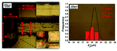 Graphical abstract: A microdevice for producing monodispersed droplets under a jetting flow