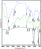 Graphical abstract: Osteoblast compatibility of minerals substituted hydroxyapatite reinforced poly(sorbitol sebacate adipate) nanocomposites for bone tissue application