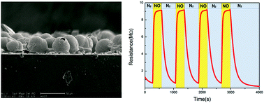 Graphical abstract: Bio-templated fabrication of hierarchically porous WO3 microspheres from lotus pollens for NO gas sensing at low temperatures
