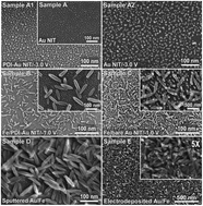 Graphical abstract: Nanoscale architecture of bimetallic hybrid Fe–Au nanostructures with and without 1,4-phenylene diisocyanide pre-functionalization