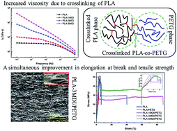 Graphical abstract: Balanced strength and ductility improvement of in situ crosslinked polylactide/poly(ethylene terephthalate glycol) blends