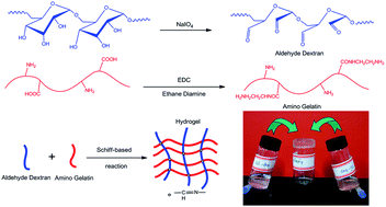 Graphical abstract: One-step cross-linked injectable hydrogels with tunable properties for space-filling scaffolds in tissue engineering