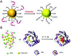 Graphical abstract: Reduced carbon dots employed for synthesizing metal nanoclusters and nanoparticles