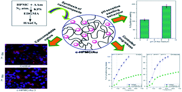 Graphical abstract: Development and application of a nanocomposite derived from crosslinked HPMC and Au nanoparticles for colon targeted drug delivery