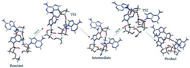 Graphical abstract: The P-site A76 2′-OH acts as a peptidyl shuttle in a stepwise peptidyl transfer mechanism