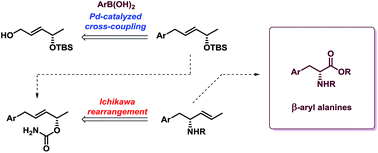 Graphical abstract: An approach to asymmetric synthesis of β-aryl alanines by Pd(0)-catalyzed cross-coupling and cyanate-to-isocyanate rearrangement