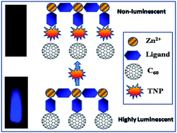 Graphical abstract: Luminescent coordination polymer–fullerene composite as a highly sensitive and selective optical detector for 2,4,6-trinitrophenol (TNP)