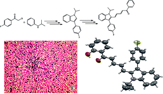 Graphical abstract: Synthesis, crystal studies and in vivo anti-hyperlipidemic activities of indole derivatives containing fluvastatin nucleus