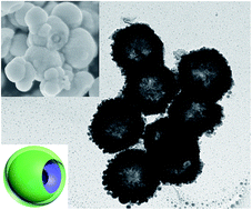 Graphical abstract: Hollow Sn–Ni nanoparticles coated with ion-conductive polyethylene oxide as anodes for lithium ion batteries with superior cycling stability