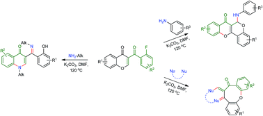 Graphical abstract: Synthesis of 4-quinolones, benzopyran derivatives and other fused systems based on the domino ANRORC reactions of (ortho-fluoro)-3-benzoylchromones