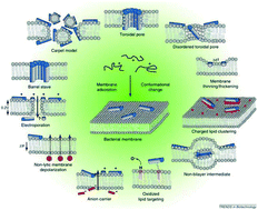 Graphical abstract: Chemical aspects of the preservation and safety control of sea foods