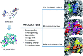 Graphical abstract: Identifying MurI uncompetitive inhibitors by correlating decomposed binding energies with bioactivity