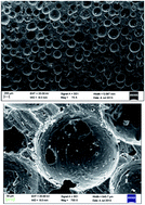 Graphical abstract: Constitutive modeling of the viscoelastic mechanical response of foam rubber-like materials