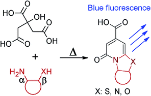 Graphical abstract: Novel efficient fluorophores synthesized from citric acid