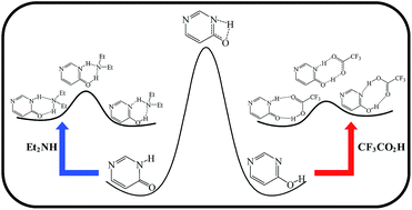 Graphical abstract: External control over tautomeric distribution and inter-conversion: new insights into the realm of catalyzed tautomerization