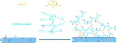 Graphical abstract: Smart cleaning cotton fabrics cross-linked with thermo-responsive and flexible poly(2-(2-methoxyethoxy)ethoxyethyl methacrylate-co-ethylene glycol methacrylate)