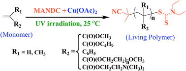 Graphical abstract: Facile and universal photo-induced living radical polymerization system mediated by iniferter agent and copper(ii) acetate at ambient temperature