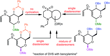 Graphical abstract: 1,1-Dioxothiomorpholines with asymmetric environments: protecting group directed diastereoselectivity of glyco divinyl sulfone cyclization