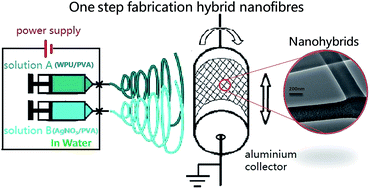Graphical abstract: Green fabrication of antibacterial polymer/silver nanoparticle nanohybrids by dual-spinneret electrospinning